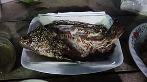 NbNĊg